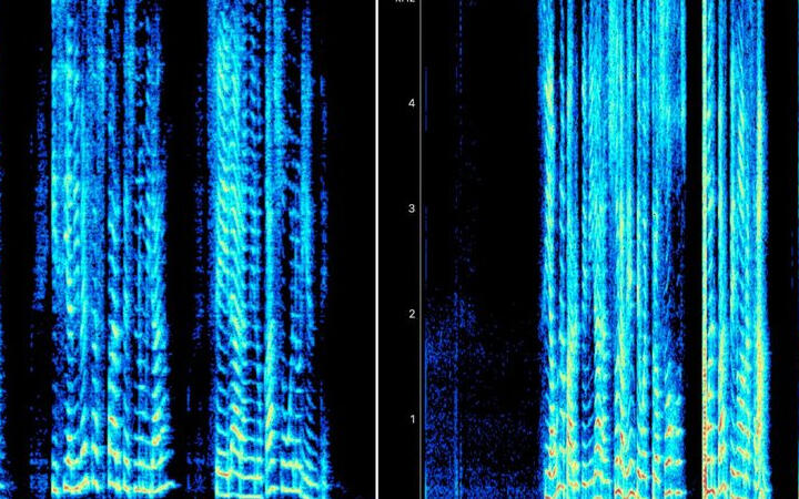 Espectrograma: ANTES (izq.) DESPUÉS (dcha.)